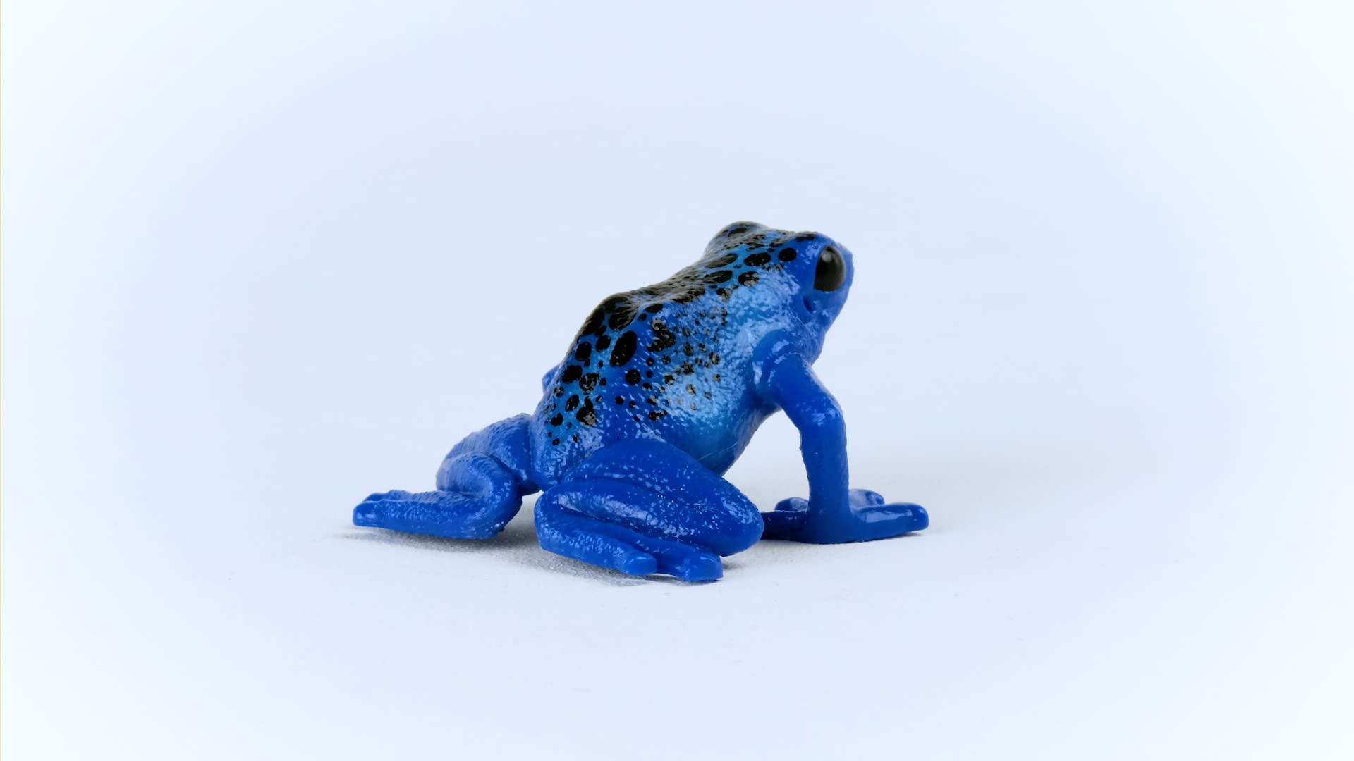 SCHLEICH WILD Life | Blauer Pfeilgiftfrosch 14864 | detailgetreue Tierfiguren | Zoo Spielzeug | tolles Geschenk für Jungen und Mädchen | Deko für Geburtstag | Spielfigur ab 3 Jahren | 5 x 5 x 3 cm 6
