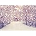 Allenjoy 7x5ft Winter Wonderland Backdrop Snow Natural Scene Forest Tree Glitter Bokeh Christmas Photography Background Party Supplies Banner Home Decoration Portrait Photo Booth Studio Props