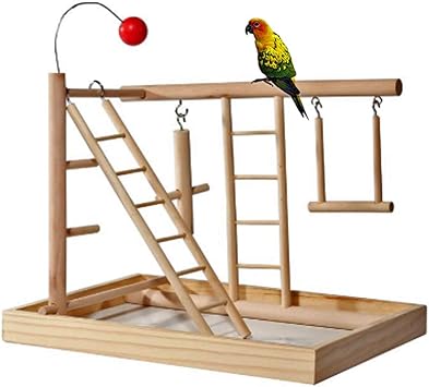 parakeet play gym