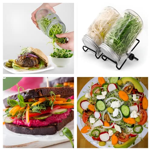Beauenty Mason Jar Sprouting Kit-2pack 32oz Complete Wide Mouth Mason Jar Sprouting Kit with Stainless Steel Sprouter Lids,Stand &Tray,Sprouting Jars for Bean Broccoli Alfalfa Radish Sunflower Seed