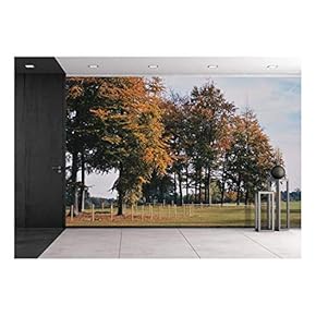 Landscape of Countryside with Trees - Removable Wall Mural | Self-Adhesive Large Wallpaper - 66x96 inches