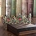 S SNUOY Baroque Crown for Women - Vintage Queen Tiara - Black