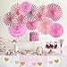 Pink Hanging Paper Fans Round Folding Heart Banner Rosettes Party Supplies Photo Props for Valentines Day Wedding Birthday Baby Shower Wall Decor Party Decorations (Pink)