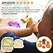 UpChefs Sandwich Cutters For kids - Create Healthy School Lunches in Minutes with These Fun Bento Lunch box Accessories - Includes Fruit and Vegetable cookie cutters for kids Plus Fun Scratch Notes