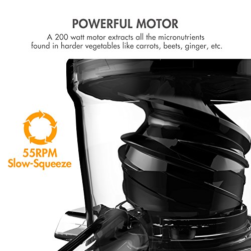 Tenergy Masticating Juicer, AntiOxidation Slow Speed Cold Press Juicer