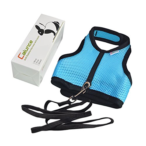 3 Calunce+Rabbits+Harness+Elastic+Leash