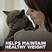 Hill's Science Diet Adult 1-6, Adult 1-6 Premium Nutrition, Wet Cat Food, Variety Pack: Turkey; Chicken; Turkey & Liver Minced, 5 oz Can Variety Pack, Case of 12