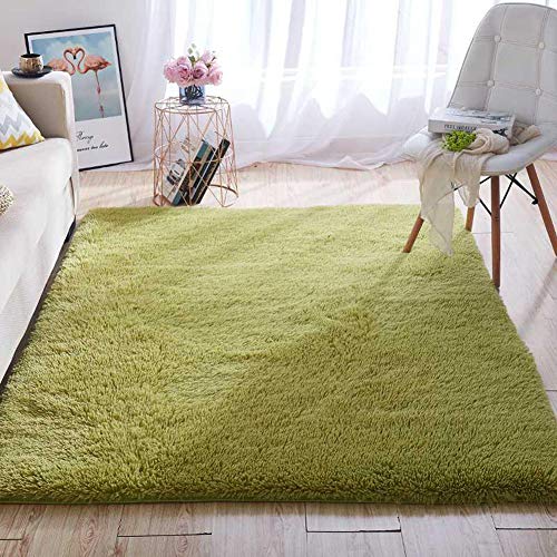 Wondo Ultra Soft Area Rug Shag Fluffy Rugs for Bedroom Living Room