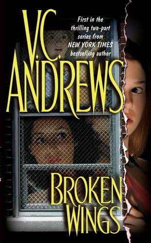 Broken Wings (1)