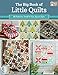 The Big Book of Little Quilts: 51 Patterns, Small in Size, Big on Style by That Patchwork Place