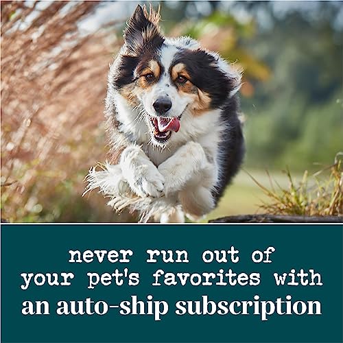 EVERROOT DOG SUPPLEMENTS POWERED BY PURINA DIGESTION CHEWABLE TABLETS WITH PUMPKIN – 4.23 OZ. CANISTER