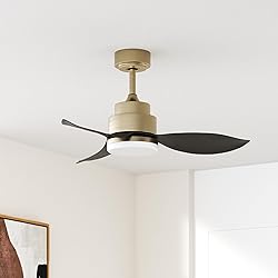 Surtime Modern Ceiling Fans With Lights Remote