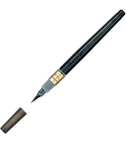 Amazon.com : Pentel XSFW34A Brush Pen, Twin, Bold, Extra Fine