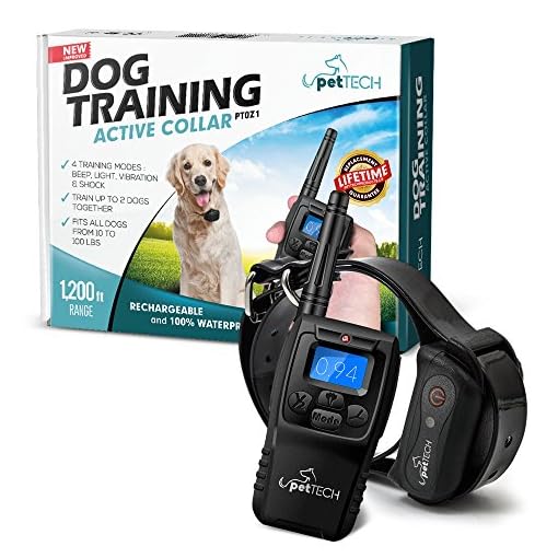 dog shock collar voltage