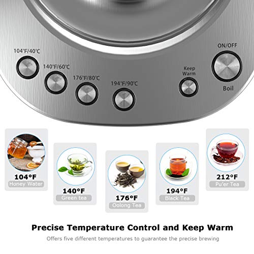 Electric Kettle, Homgeek Electric Kettle Glass with Variable