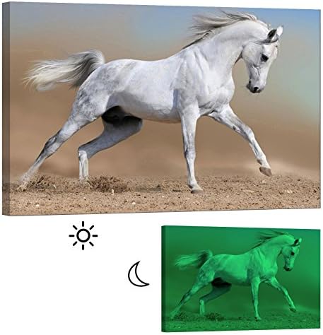 LightFairy Glow in The Dark Canvas Painting - Stretched and Framed Giclee Wall Art Print - Animals Nature Arabian Horse - Master Bedroom Living Room Decor - 6 Hours Glow - 24 x 16 inch