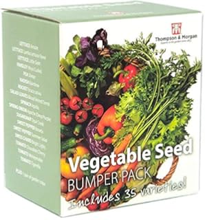 Kit de plantation avec pots en papier et accessoires: Amazon.es ...