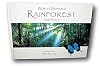 World Heritage Rainforest Australia