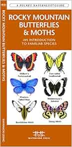 Rocky Mountain Butterflies Amp Moths A Folding Pocket Guide