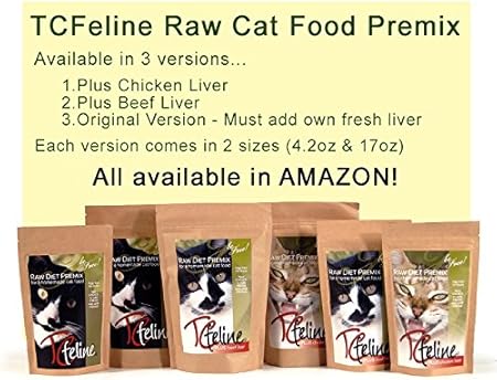 cat supplement for homemade food