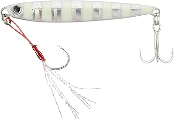 jig 10 gram