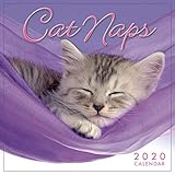 Cat Naps 2020 Mini Calendar by