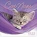 Cat Naps 2020 Mini Calendar by