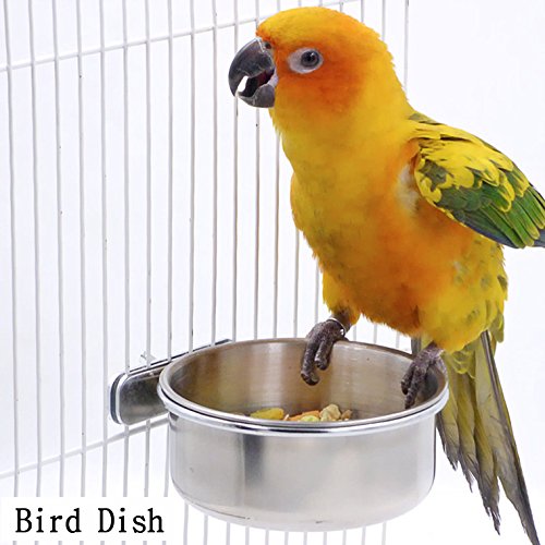 5 Mrlipet+Stainless+Parakeet+Cockatiels+Lovebird