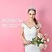 DcZeRong Tiara Crown Queen Crowns Prom Tiara Wedding Tiaras Prom Crowns Women Tiaras Bridal Tiaras