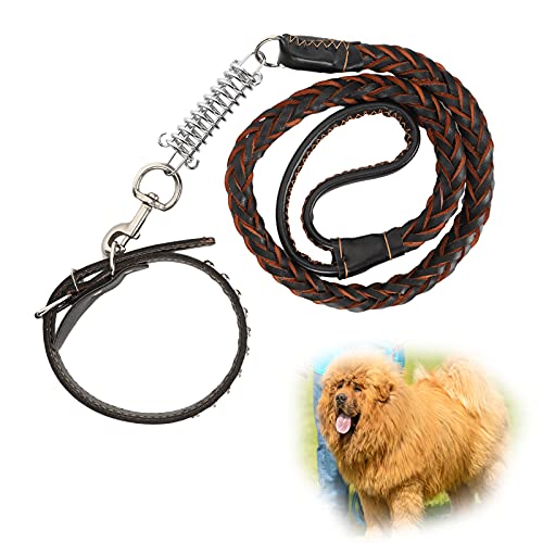 puppy resisting leash