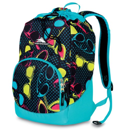 High Sierra Synch Backpack