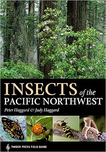 Insects Of The Pacific Northwest Timber Press Field Guide Haggard Peter Haggard Judy 9780881926897 Books Amazon Ca