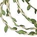 MF2FLAY 33 Feet Natural Jute Twine, Creative Burlap Leaf Ribbon 5MM with Artificial Green Leaves, Perfect Braided Decorated Vine for Art & Crafting Home Packing Decoration and any Party Décor (1 PCS)