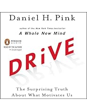Drive: The Surprising Truth About What Motivates Us