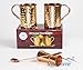 [Gift Set] Moscow Mule Copper Mugs 100% Pure Copper (No Nickel Interior) Moscow Mule Gift Set Includes Two 16 Oz. Pure Copper Hammered Mugs – Double Sided Copper Shot Pourer – Copper Stir Spoon