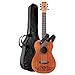 Cordoba Guitars Coco x Cordoba Mini Guitar MH/MH W/B Disney/Pixar Mini Mahogany Acoustic Guitar
