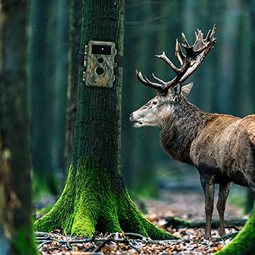 2Pack Outdoor Game & Deer Trail Cameras Camo No Glow Night Vision 24MP 1296P MP4 Video for