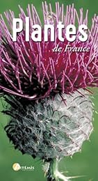 Plantes et fleurs de France
