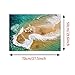 Kemilove 3D Floor/Wall Sticker Removable Mural Decals Vinyl Art Living Room Decors(Beach)