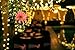 OrgMemory Copper LED Fairy Lights, (80 Ft, 240 LEDs, Warm White, UL Listed Power Adapter), Room Lights, Garland Lights with Remote for Wedding, Xmas, Outdoor and Indoor Room Decor