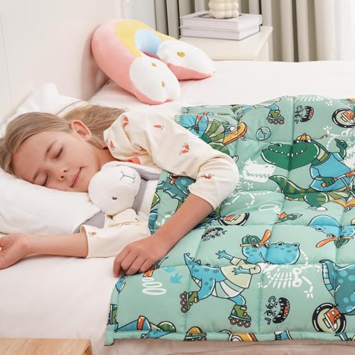 Mr. Sandman Weighted Blanket
