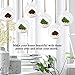 K KYMAKE Hydroponic Plant Stylish Desktop Terrarium Glass Flowerpot Bulb, Handmade high Borosilicate, Creating a New Environment for Your Desktop Life