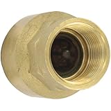 W.E. Anderson Brass Inline Check Valve, BICV-0F01, 3/8" Connection, 4.55 Cv Value