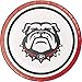 Creative Converting University of Georgia Dessert Plates, 24 ct