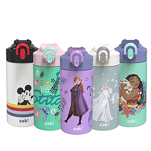 zak! Disney Frozen 2 Anna Stainless Steel Vacuum Insulated Water