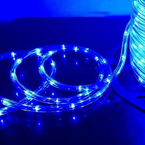 HuiZhen 100 Feet 720 LED Rope Light,2-Wire Waterproof Low Voltage Christmas Rope Lights Outdoor,Indoor Led String Lights Idear for Trees,Bridges,Eaves,Background,Pool,Wedding Use - Thumbnail 4