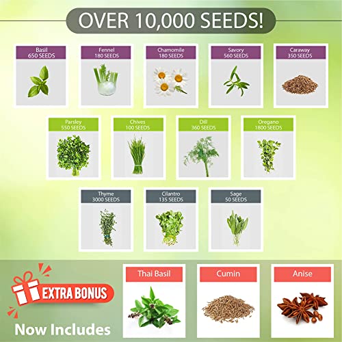 NatureZ Edge 15 Herb Seeds Variety Pack, 6000+ Heirloom Seeds for