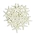 LJY 25 Pieces Beige Resin Pencil Finger Starfish for Wedding Decor, Home Decor and Craft Project, 2.3 Inches