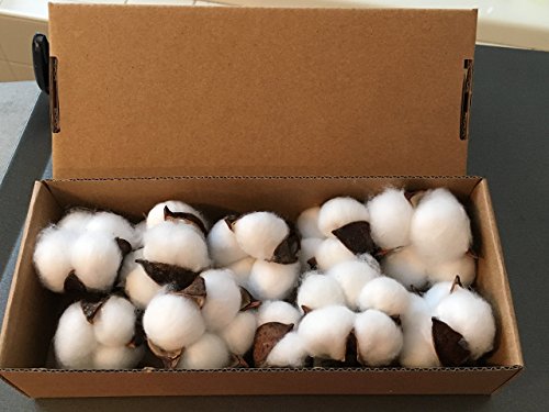 10 pieces of natural and synthetic blend cotton bolls (balls) for wreaths, decor, off stick branches wired raw look white cotton branch picks