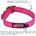 Max and Neo MAX Reflective Metal Buckle Dog Collar - We Donate a Collar to a Dog Rescue for Every Collar Sold (Large, Pink)